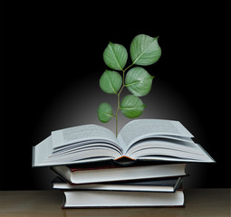 Tree growing from open book