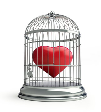 heart in a cage for birds