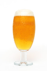 Bier mit Schaumkrone