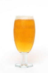 Bier mit kleiner Schaumkrone
