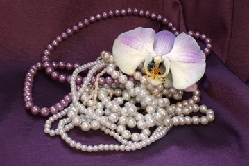 pearls and orchid
