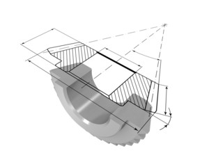 Gear in the section and drawing