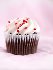 Delcious Cup Cake Against a Light Pink Background