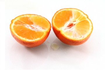Orange Slices