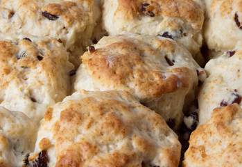 Freshly Baked Fruit Scones