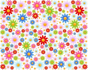bright colourful background from camomiles