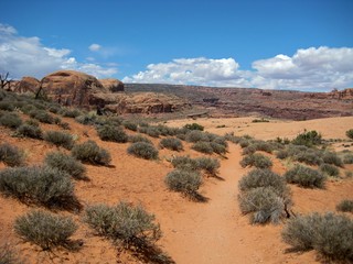 Desolate landscape around Moab, Corona Arch Trail, nr Arches NP