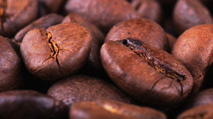 Coffee beans close-up