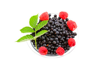 Berries: raspberries and bilberries i