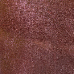 Natural leather texture