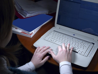 travail sur ordinateur © danimages