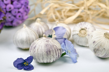 Chinesischer Knollenknoblauch ( Monobulbo)