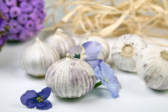 Chinesischer Knollenknoblauch ( Monobulbo)