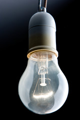 bulb