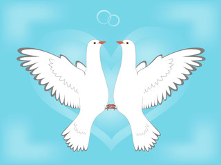 Dove and love