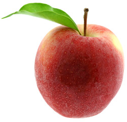 pomme rouge fond blanc