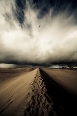 Desert