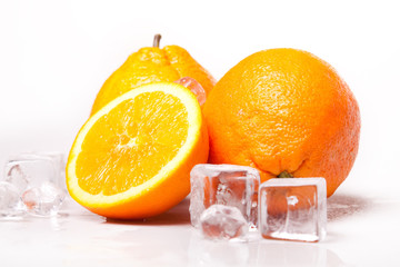 Oranges froides