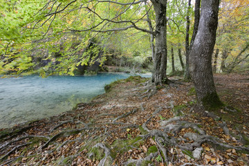 Obraz premium Ribera