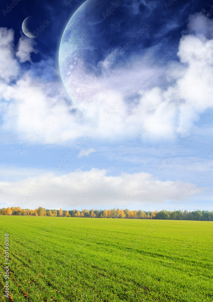 Canvas Prints fields of a far planet