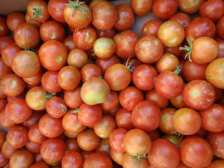 Bunch of Red-Orange Cherry Tomatos