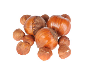 hazelnuts