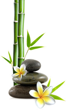 fleurs de frangipanier, galets zen et bambou