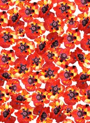 tło z makami © Lasa