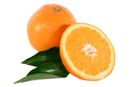 Orangen und Orangenbaumblätter