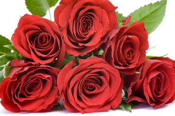 red roses