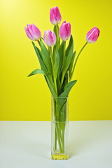 Pink tulips on yellow background