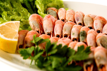 appetizer