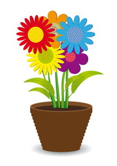 Bright colored flowers in a pot