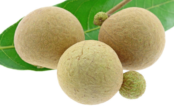 dimocarpus longan, Longanis, oeil du dragon, fond blanc