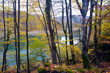 Irati. Navarra