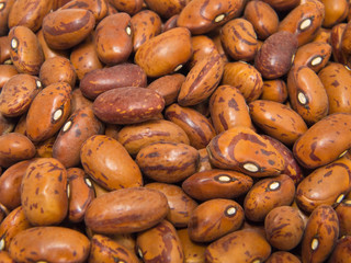 Borlotti beans.