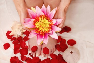 Obraz na płótnie Canvas Feet Spa Hands Flower Blossom