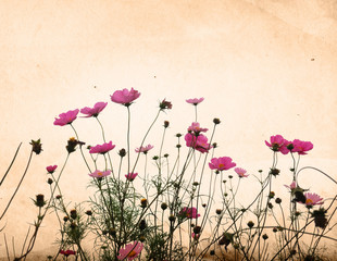 old flower paper texture background
