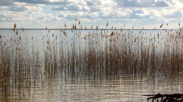 reflets au bord du lac