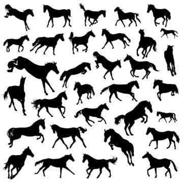 Collection of silhouettes of galloping horses. 32 horses.