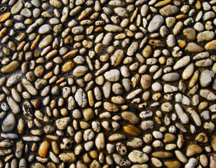 Stone mosaic