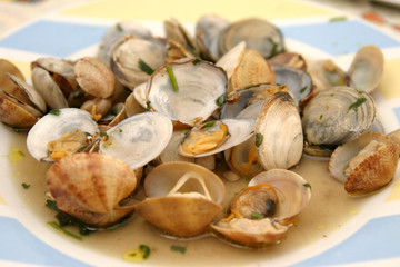 beautiful and tasty clams