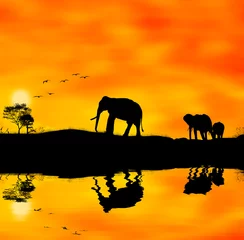 Gordijnen olifanten afrika © giacomarco