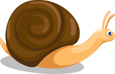 snail