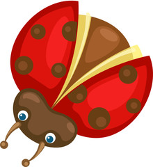 lady bug