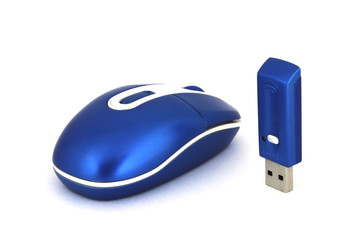 computer mouse