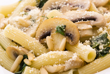 Rigatoni Fungi