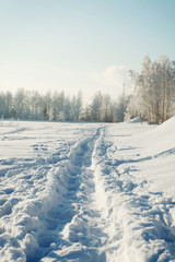 Obraz premium path