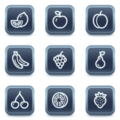 Fruit web icons, mineral square buttons series