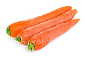 Carrot